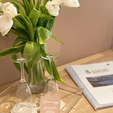 Pensión Nelia Baveno