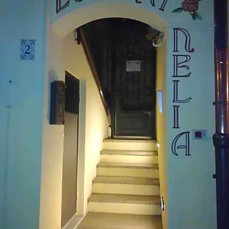 Guest house Nelia 4*