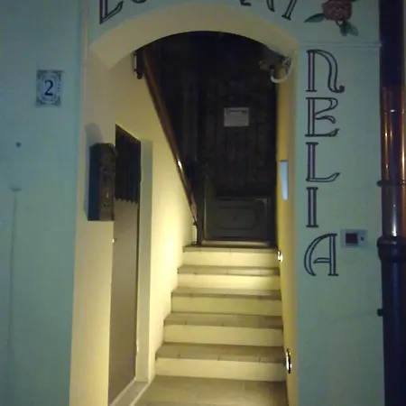 Nelia Guest house